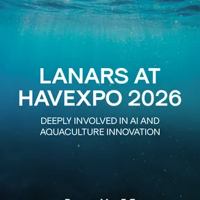 Instagram post preview